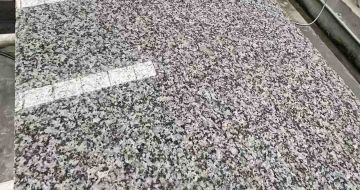 唐山 芙蓉白光面