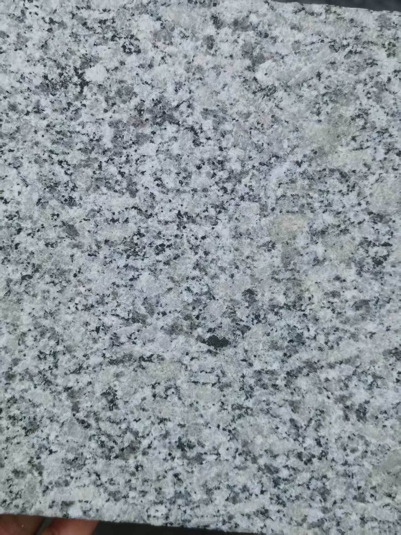 唐山 芙蓉白火烧面