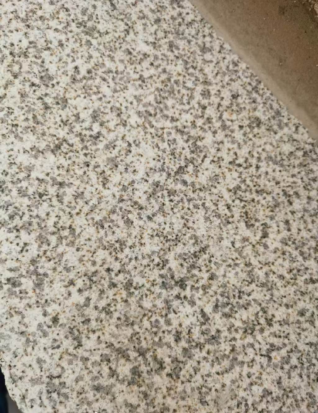 唐山 黄金麻中黄光面